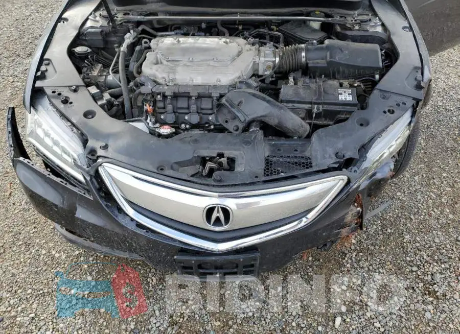 19UUB2F50FA002653 Photo# 11