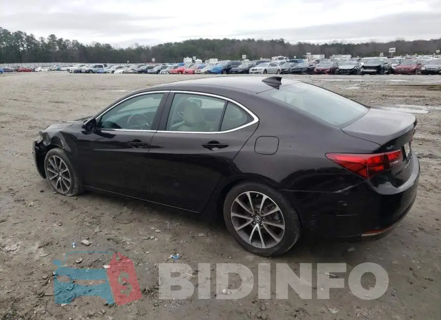 19UUB2F50FA012423 Photo# 2