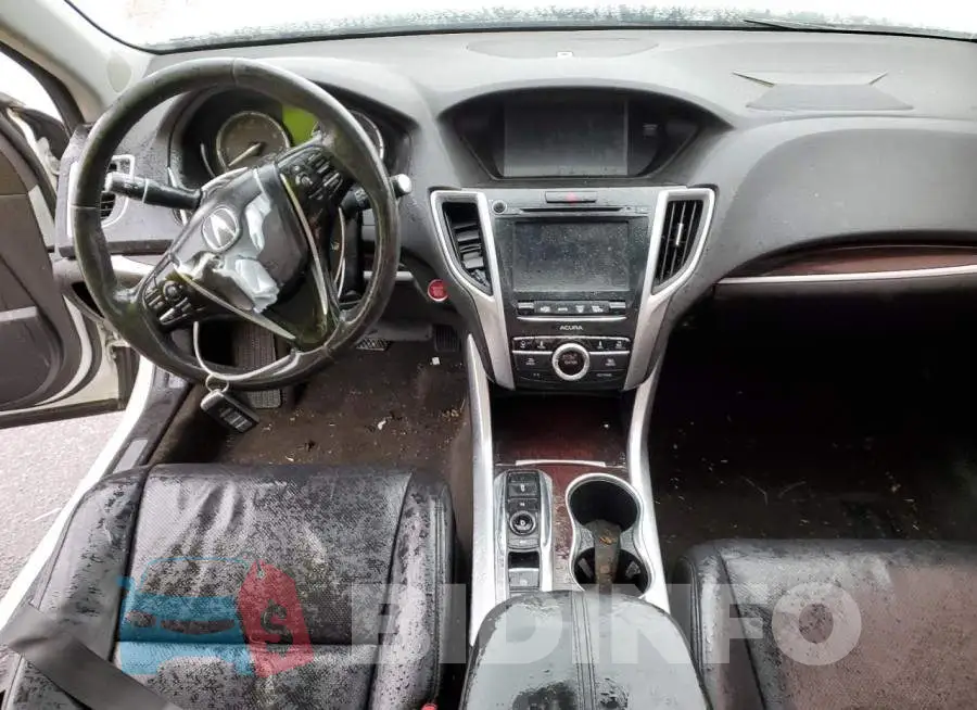 19UUB2F58FA016011 Photo# 8