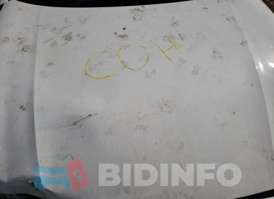 1N4BL4BV8NN332817 Photo# 7