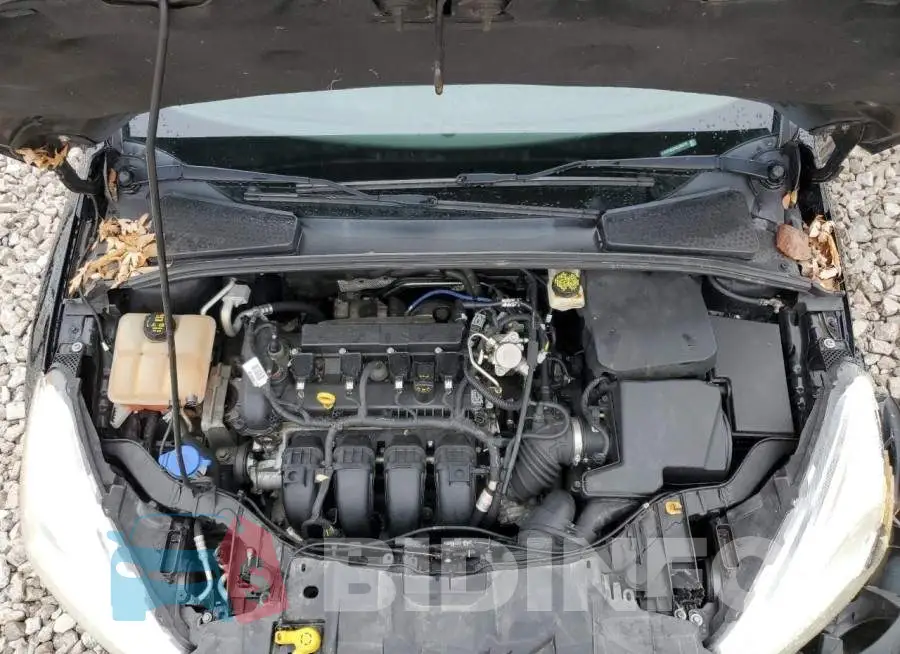 1FADP3E2XHL298775 Photo# 11