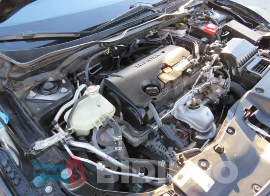 2HGFC2F86MH557234 Photo# 7