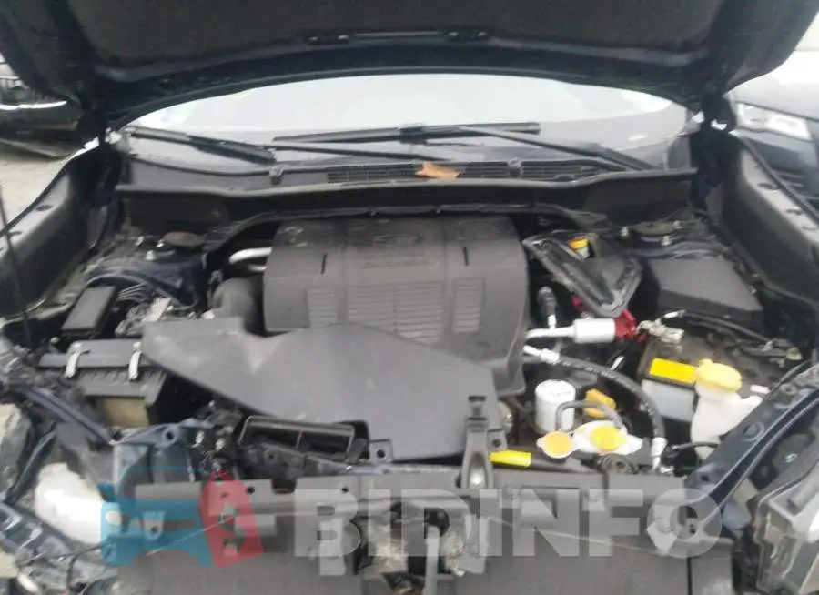 JF2SKAPC1KH501025 Photo# 12