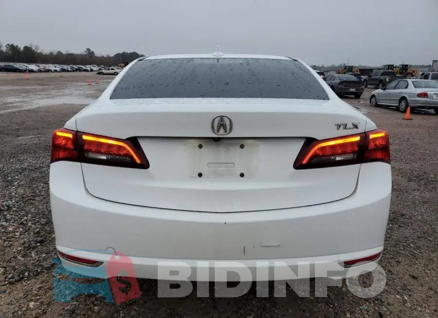 19UUB1F36FA016761 Photo# 6