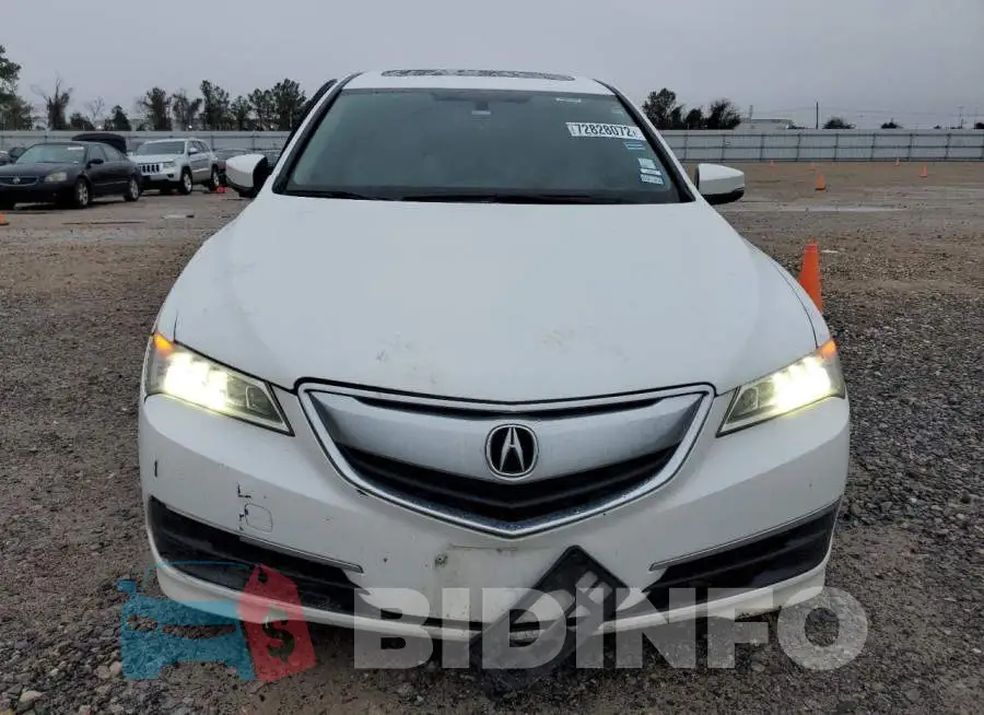 19UUB1F36FA016761 Photo# 5