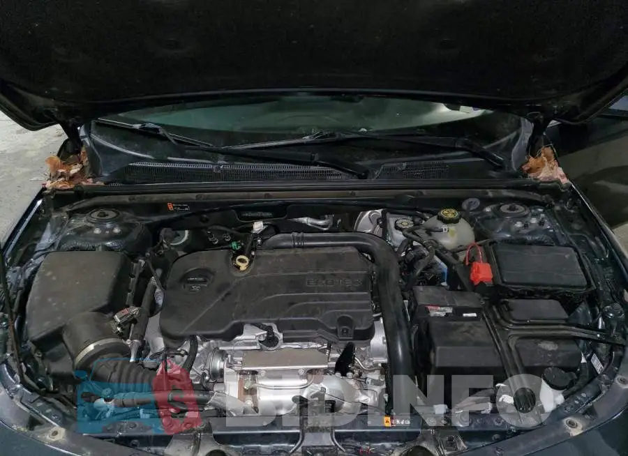 1G1ZG5ST5LF157783 Photo# 11