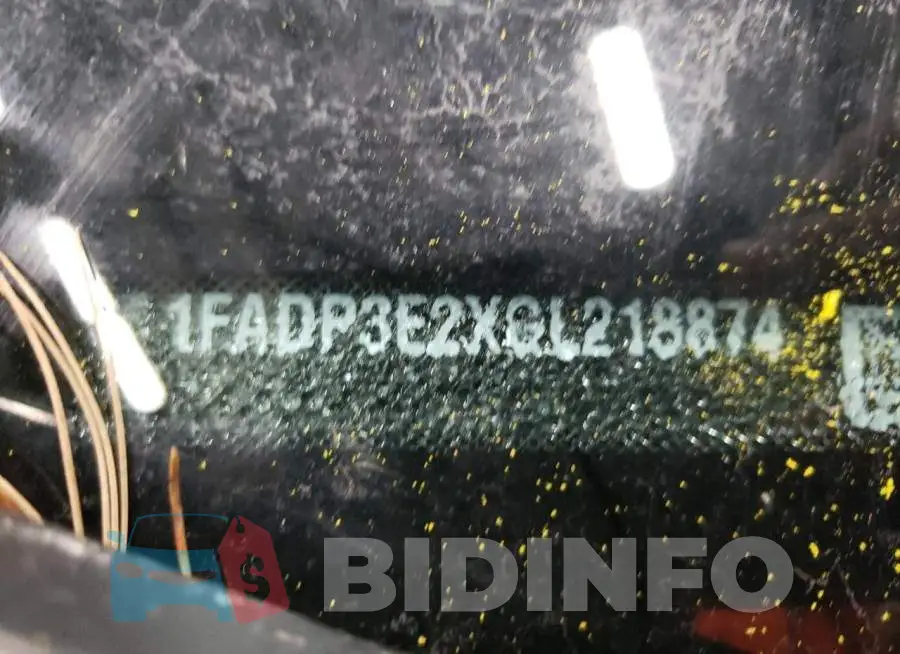 1FADP3E2XGL218874 Photo# 12