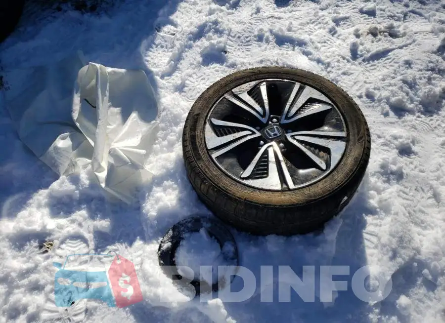 19XFC1F33GE041684 Photo# 12