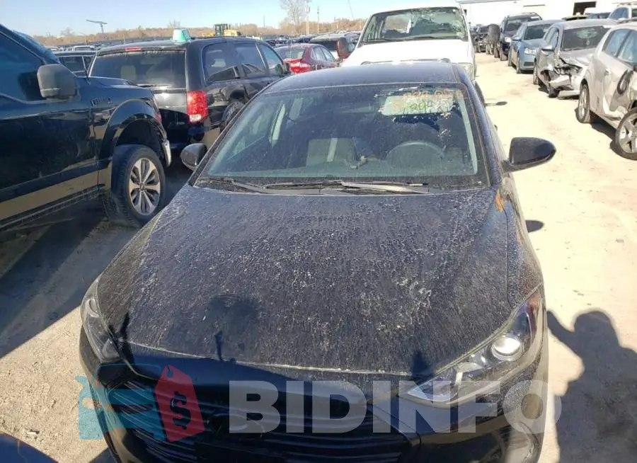 KMHD74LFXJU489436 Photo# 5