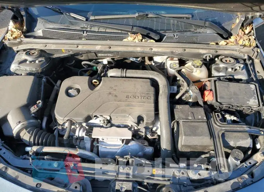 1G1ZB5ST5KF149180 Photo# 11