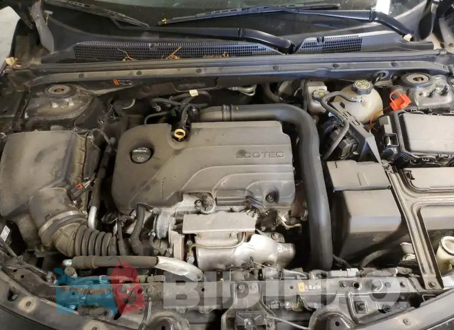 1G1ZD5ST7KF181087 Photo# 7