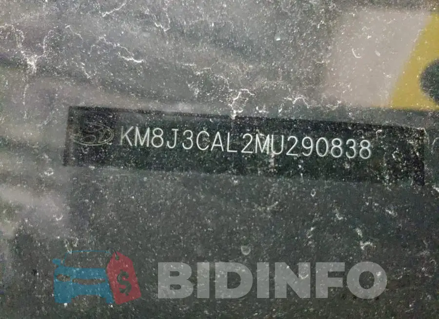 KM8J3CAL2MU290838 Photo# 12