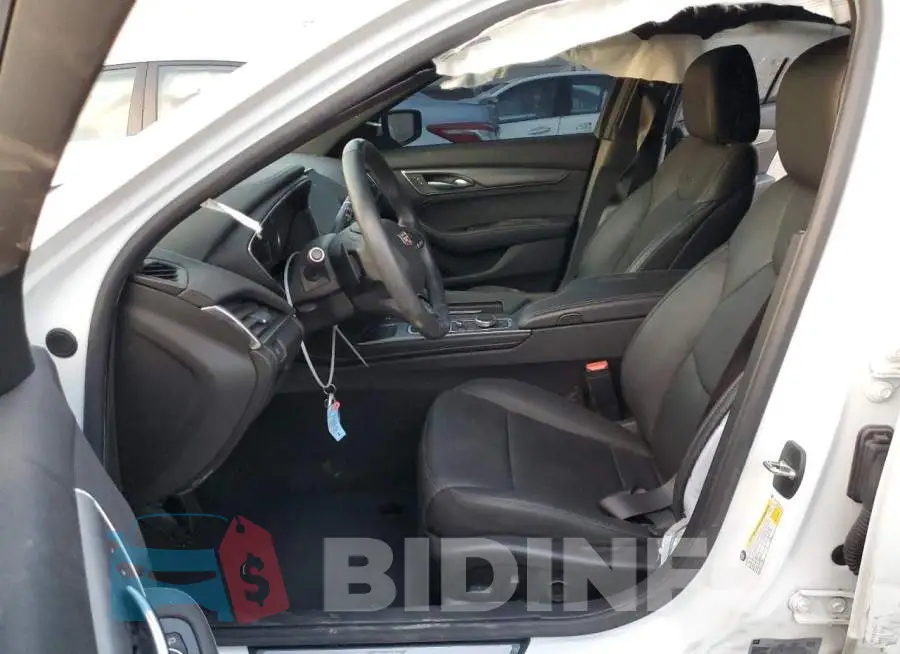 1G6DN5RK8M0133408 Photo# 7