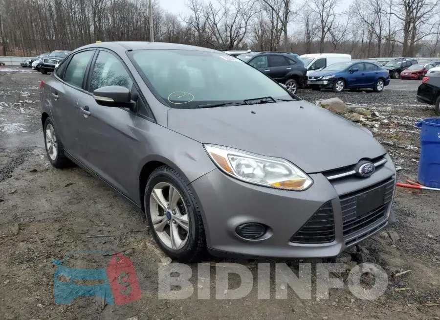 1FADP3F24EL152253 Photo# 4