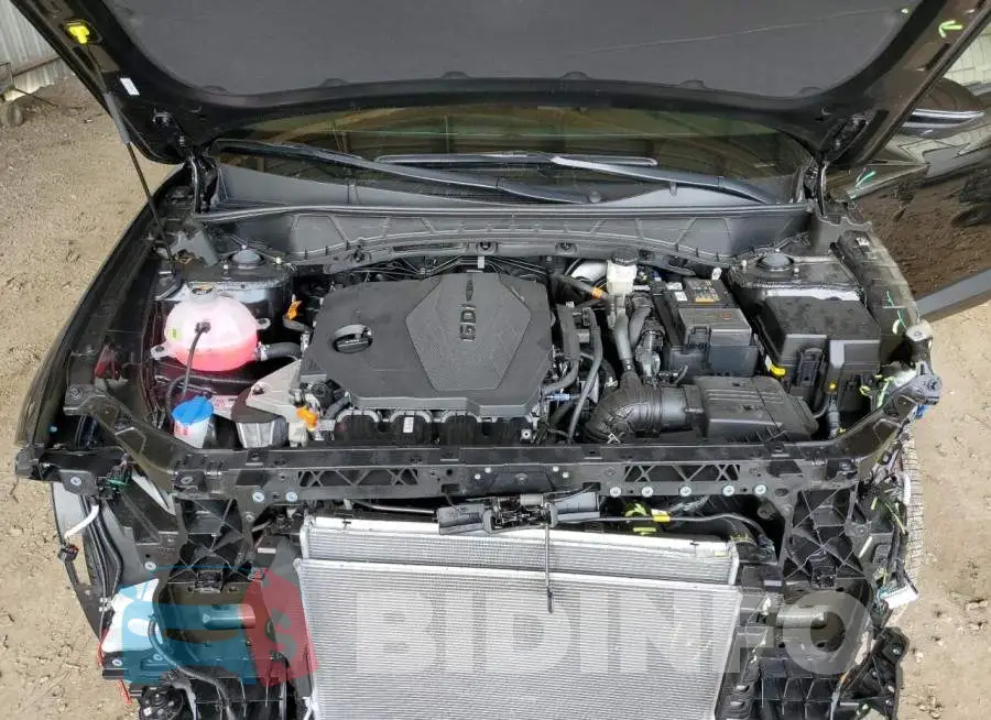KM8JB3AEXPU175039 Photo# 12