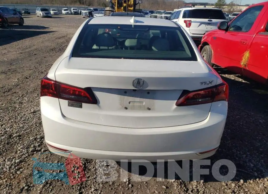 19UUB1F56FA017247 Photo# 6
