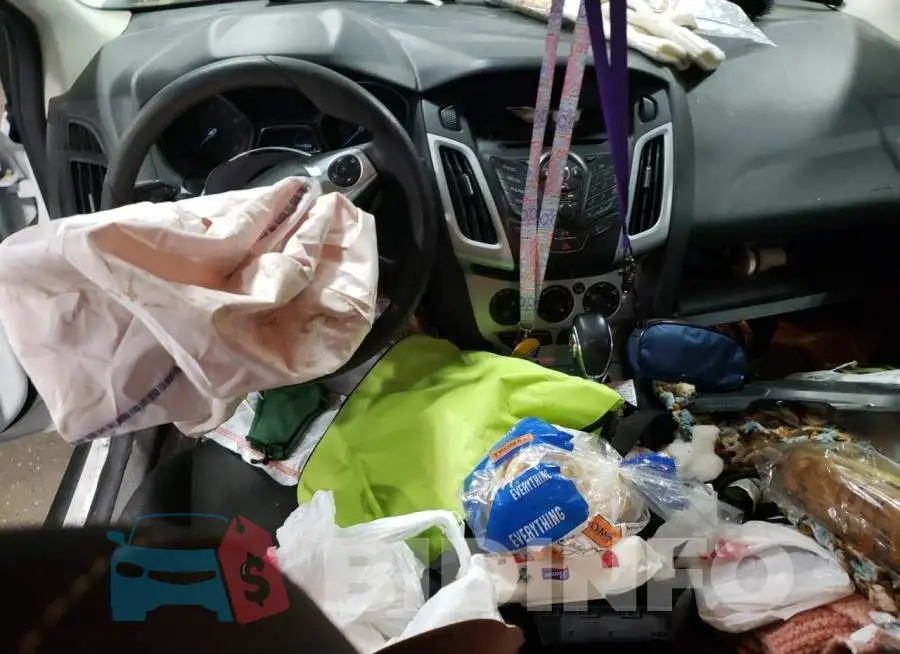 1FADP3F20EL209967 Photo# 8