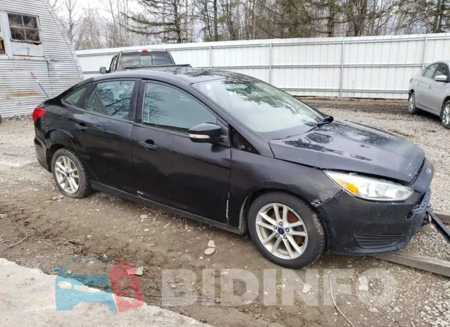 1FADP3F2XGL389140 Photo# 4