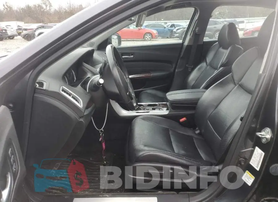 19UUB1F50FA012450 Photo# 7