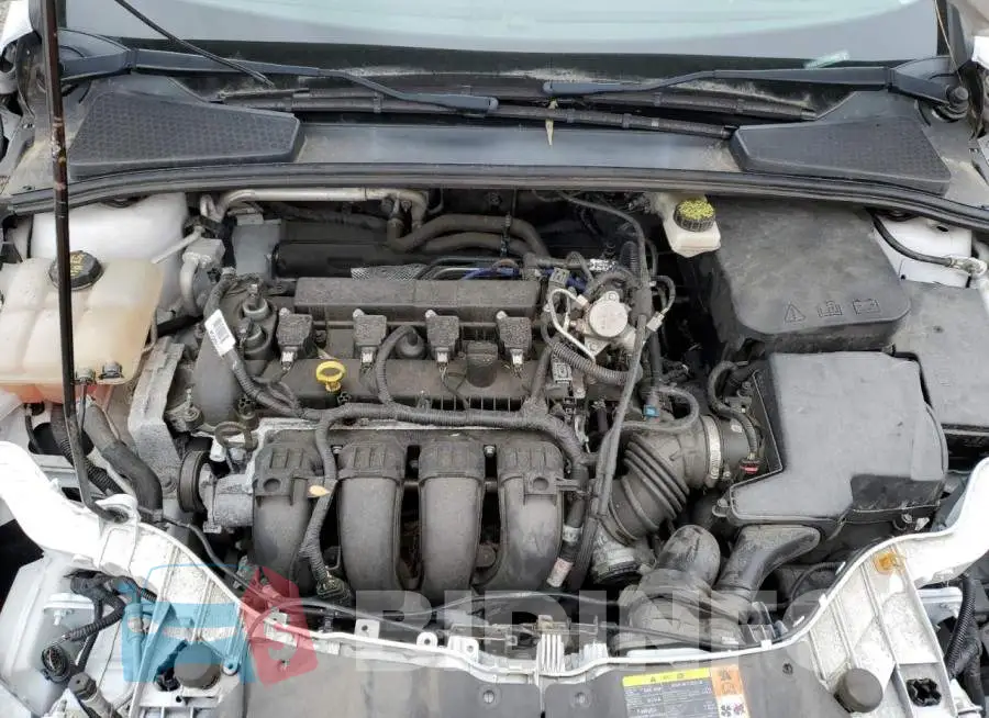 1FADP3E2XHL204507 Photo# 11