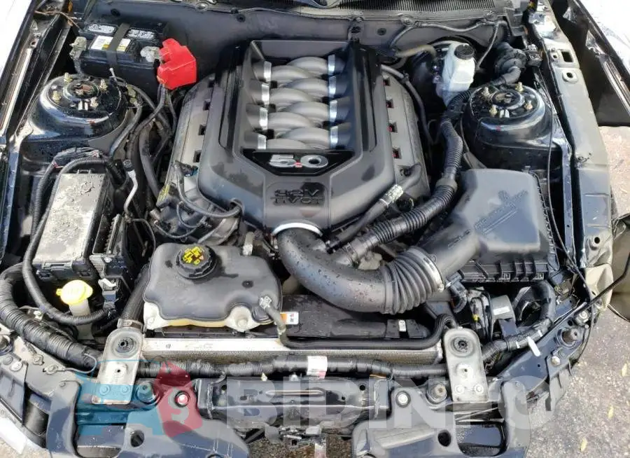 1ZVBP8CF5E5270982 Photo# 11