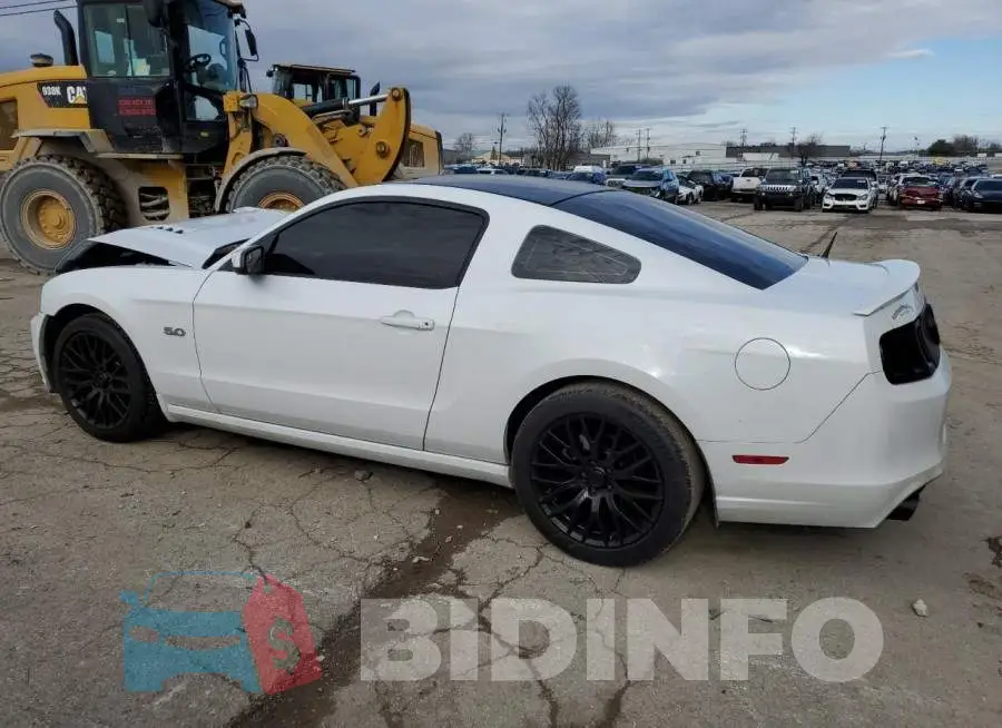 1ZVBP8CF5E5284106 Photo# 2