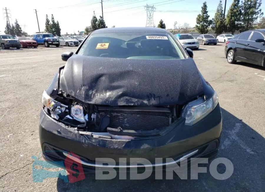 19XFB2F51FE211534 Photo# 5