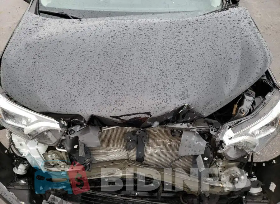 2T3YFREV2JW429082 Photo# 12