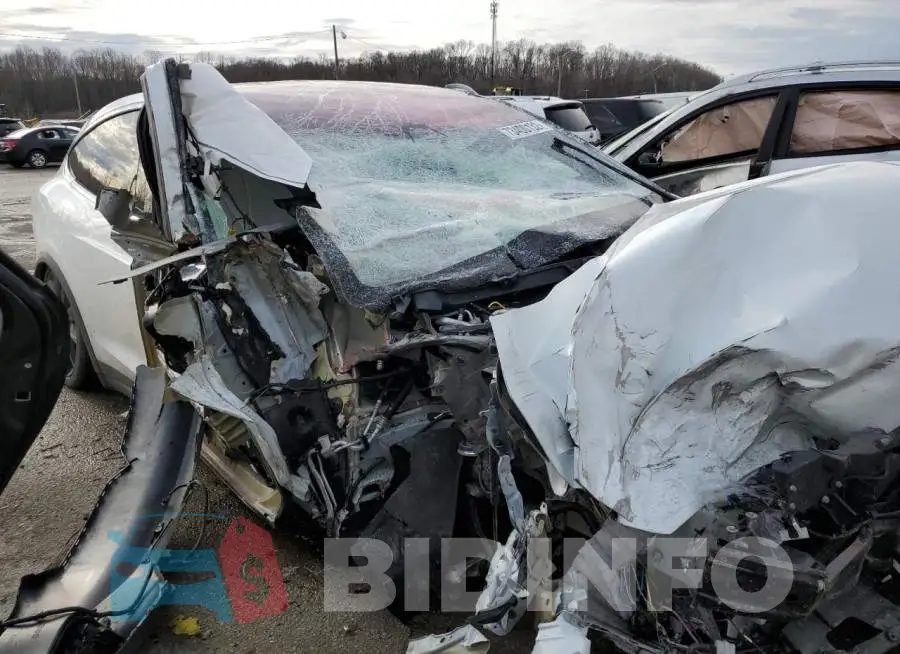 5YJXCBE21LF248940 Photo# 4
