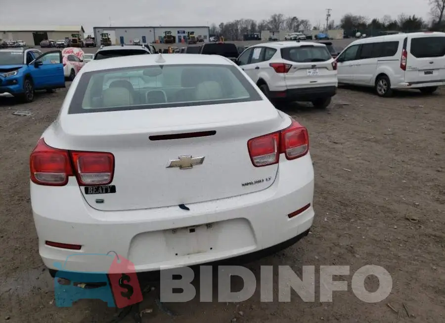 1G11C5SLXFF324135 Photo# 6