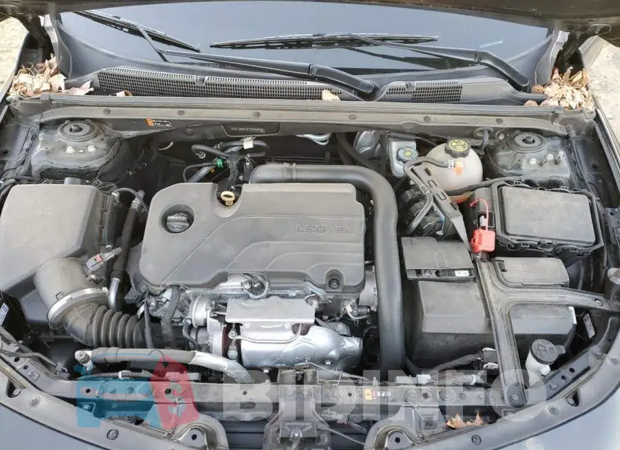 1G1ZD5ST2LF044592 Photo# 11
