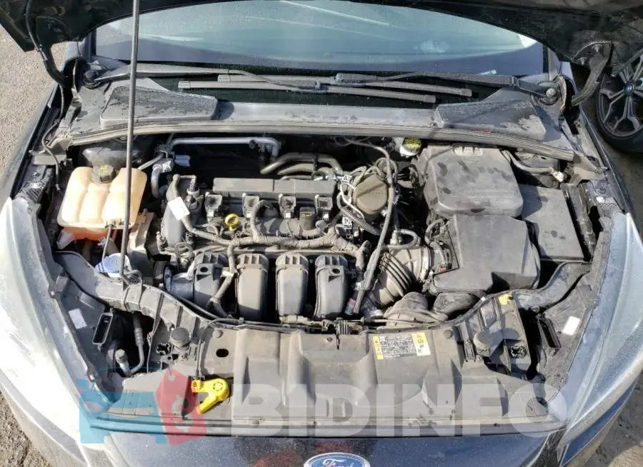 1FADP3F26GL260201 Photo# 11
