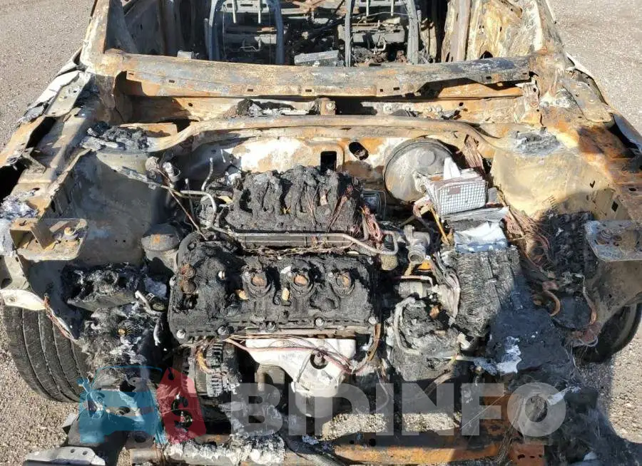 1FM5K7D8XJGA23797 Photo# 12