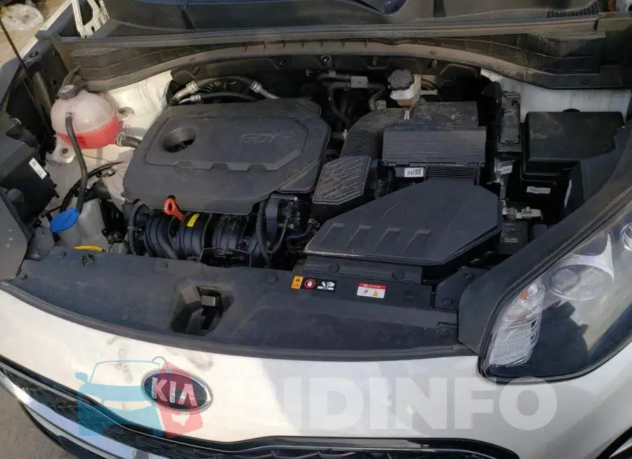 KNDPMCAC4M7925858 Photo# 12