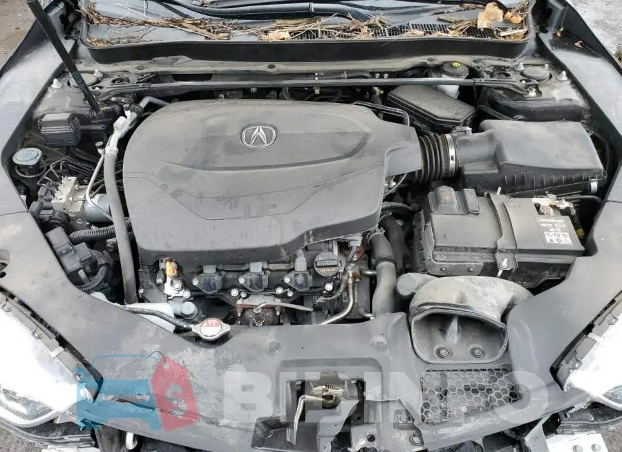 19UUB2F35KA004178 Photo# 11