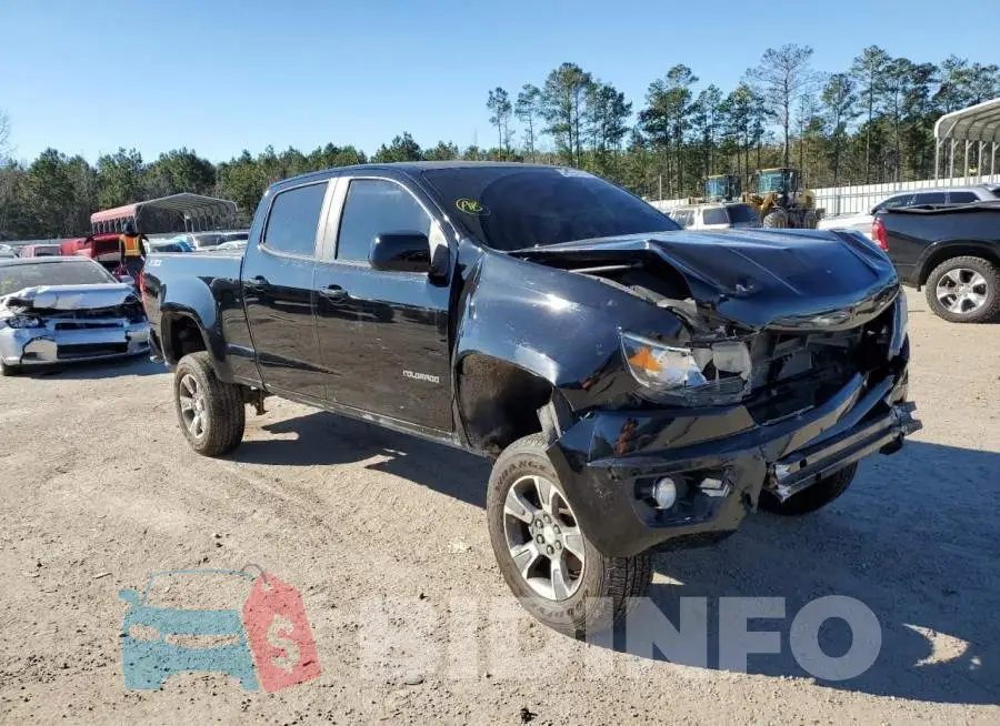 1GCGTCE35F1116985 Photo# 4