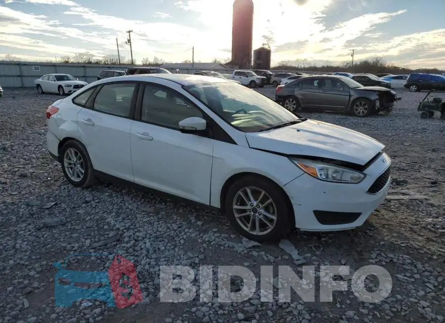 1FADP3F26GL282912 Photo# 4