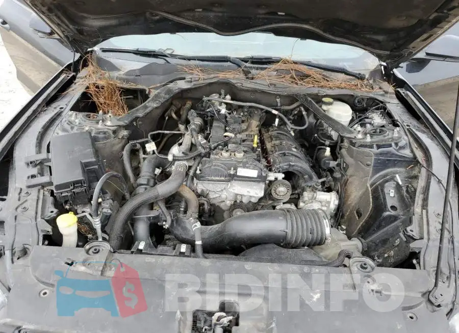 1FATP8UH0G5291514 Photo# 11