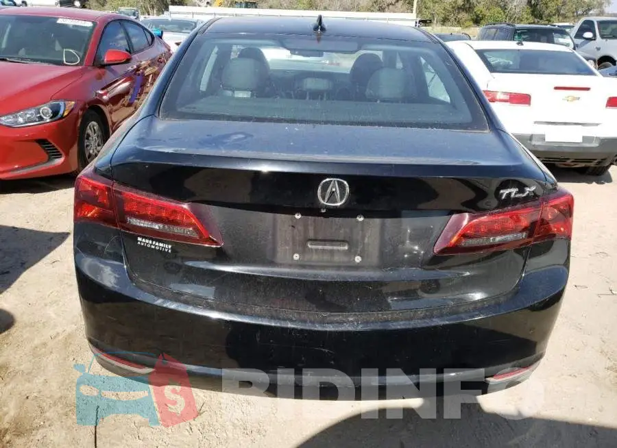 19UUB1F31FA000984 Photo# 6