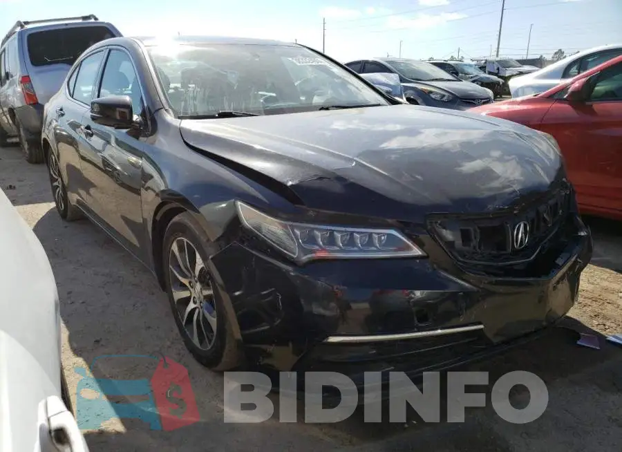19UUB1F31FA000984 Photo# 4