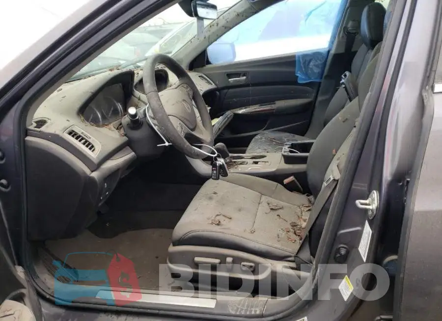 19UUB1F5XHA001099 Photo# 7