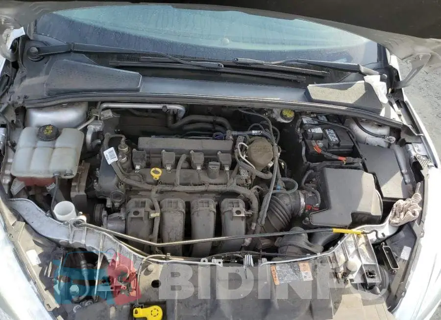1FADP3E26GL254741 Photo# 11