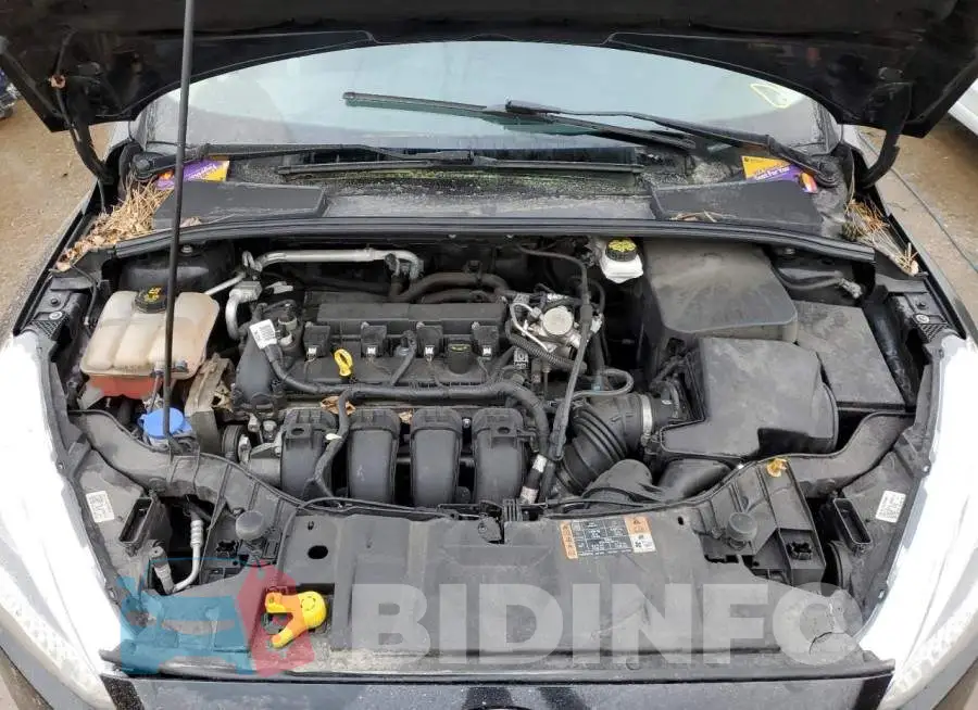 1FADP3F25JL266952 Photo# 11