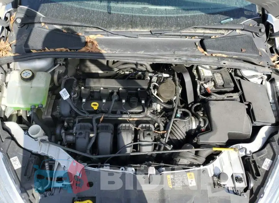 1FADP3F2XGL205170 Photo# 11