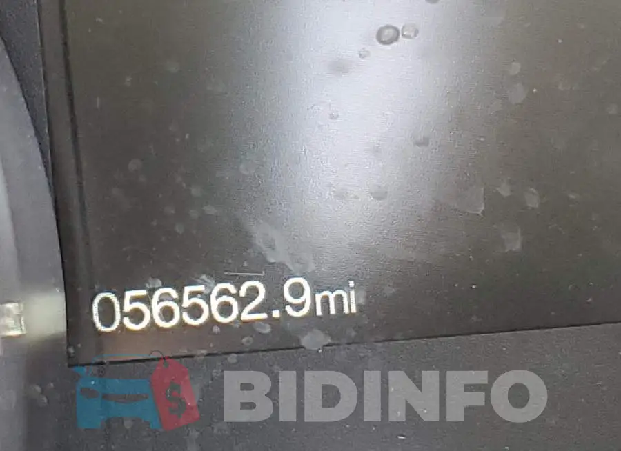 1FATP8UHXL5118741 Photo# 8