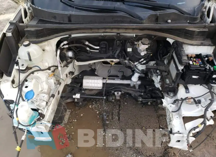 KNDPM3AC9K7623253 Photo# 11