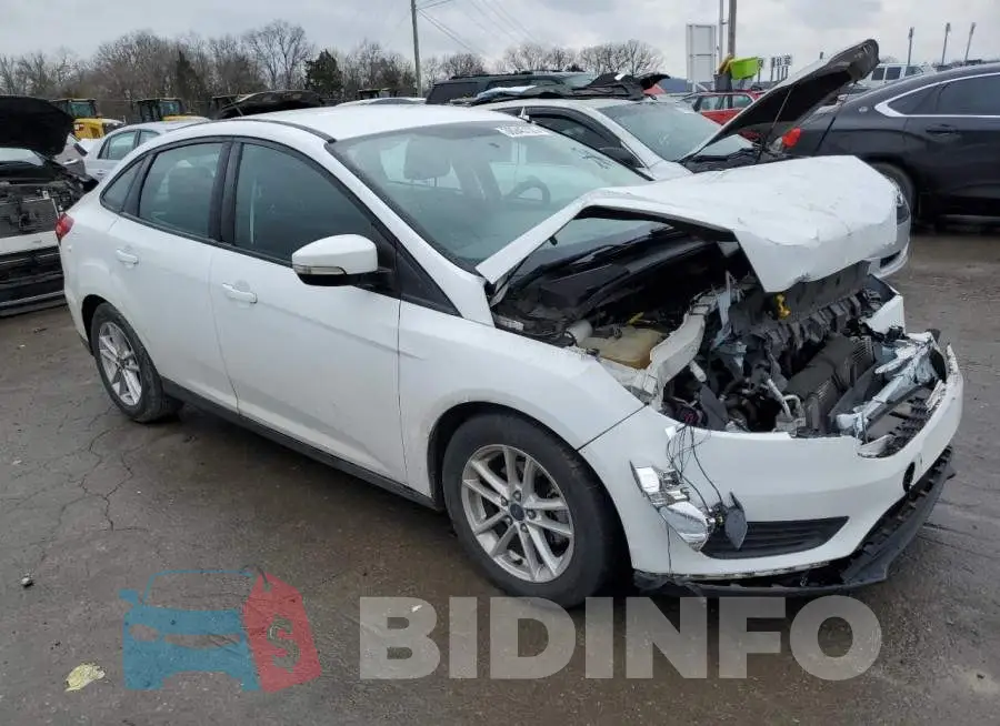 1FADP3F24GL239900 Photo# 4