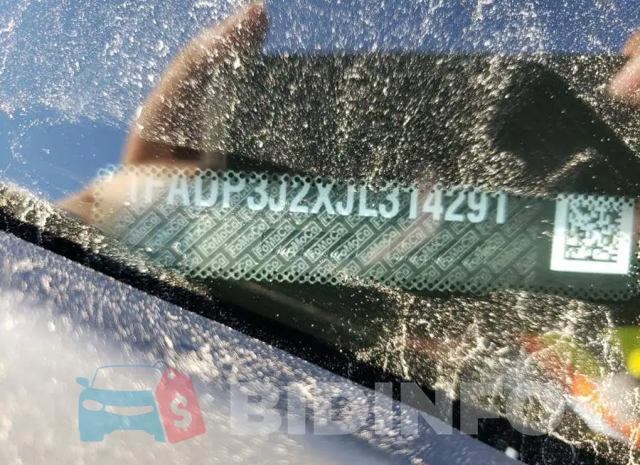 1FADP3J2XJL314291 Photo# 13