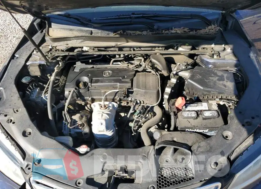 19UUB1F35FA018310 Photo# 11