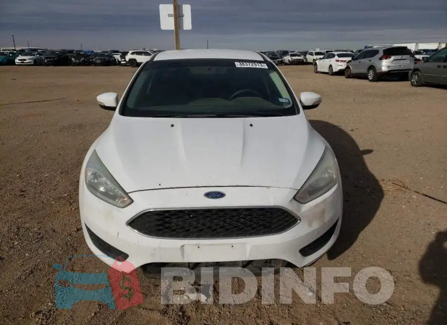1FADP3F24GL247527 Photo# 5